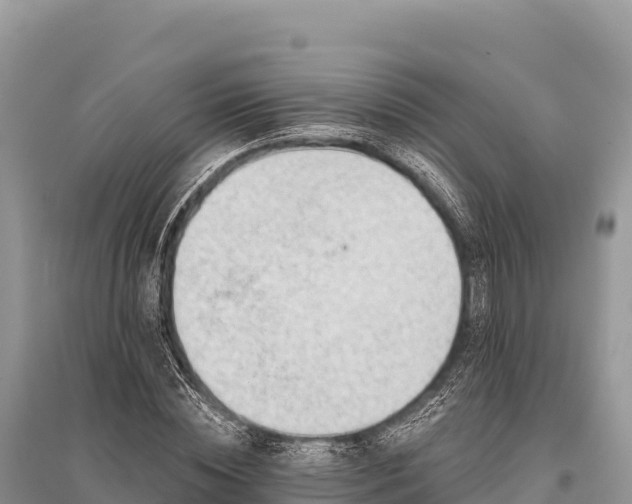 X0000096170828200801251149