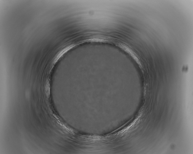 X0000096170829200801251149