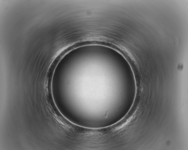 X0000096170830200801251149