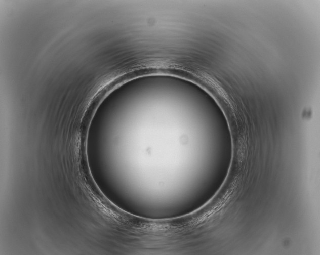 X0000096170831200801251149