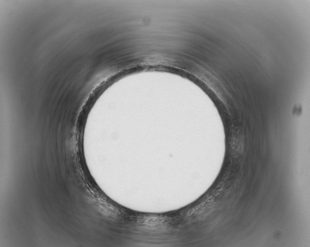 X0000096170832200801251149