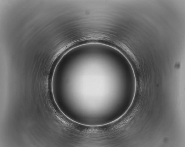 X0000096170834200801251149