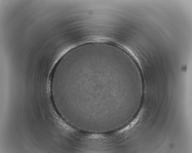 X0000096170835200801251149