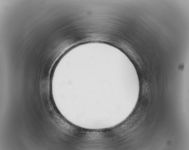 X0000096170836200801251149