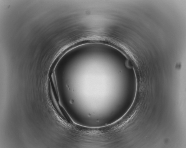 X0000096170837200801251149