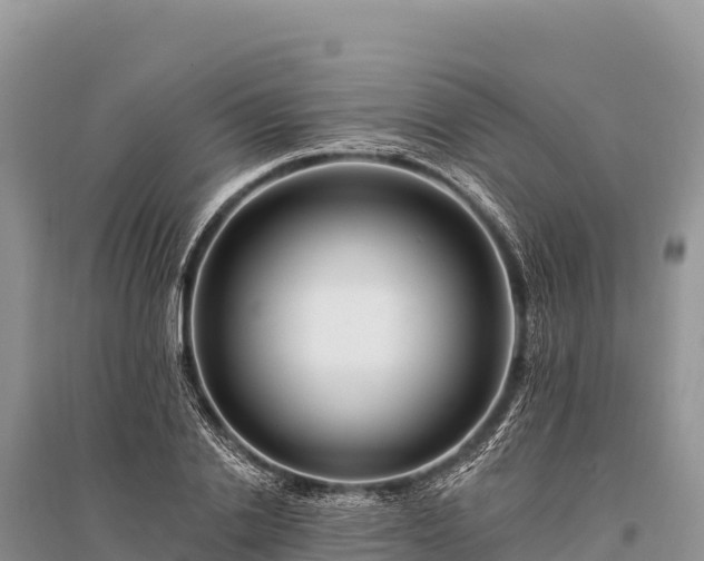 X0000096170838200801251149