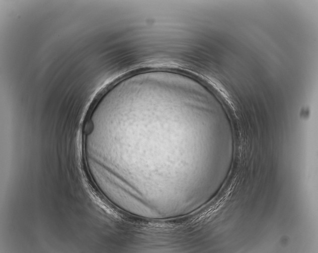 X0000096170840200801251149