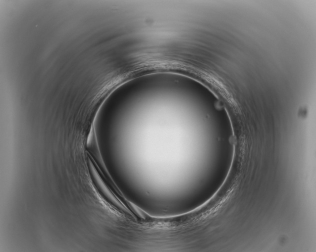 X0000096170841200801251149