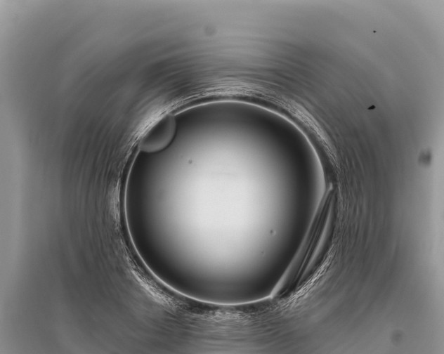 X0000096170842200801251149