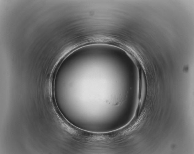 X0000096170843200801251149