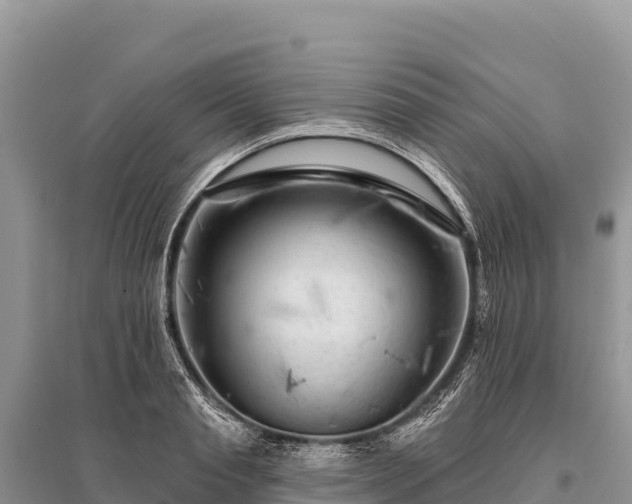 X0000096170845200801251149