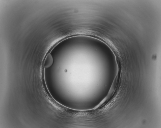 X0000096170846200801251149