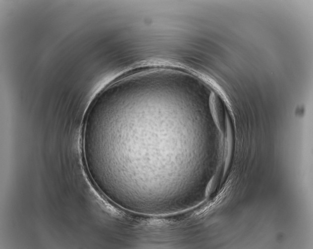 X0000096170847200801251149