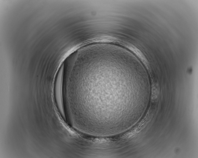 X0000096170850200801251149