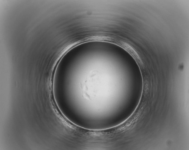 X0000096170852200801251149