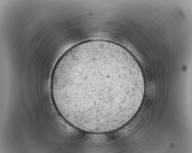 X0000096170856200801251149