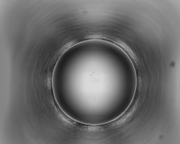 X0000096170857200801251149