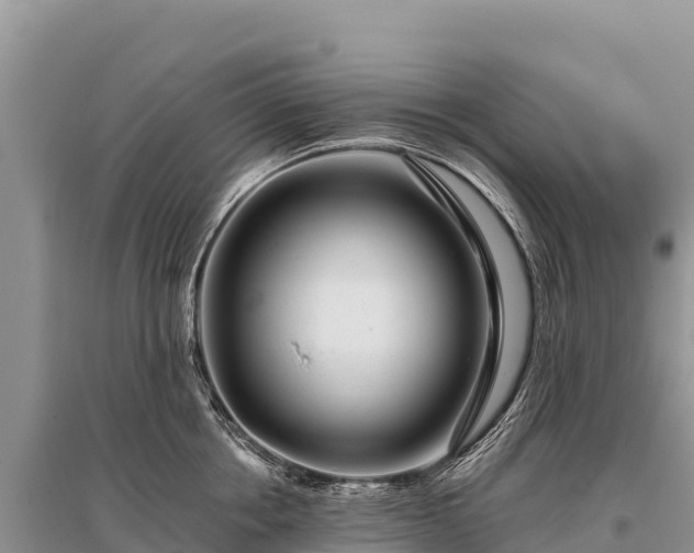 X0000096170858200801251149