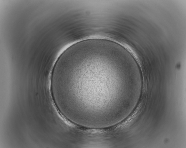 X0000096170862200801251149