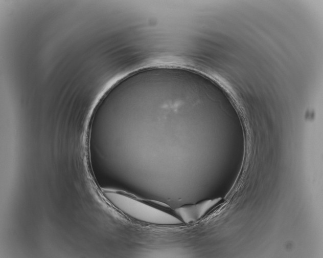 X0000096170864200801251149