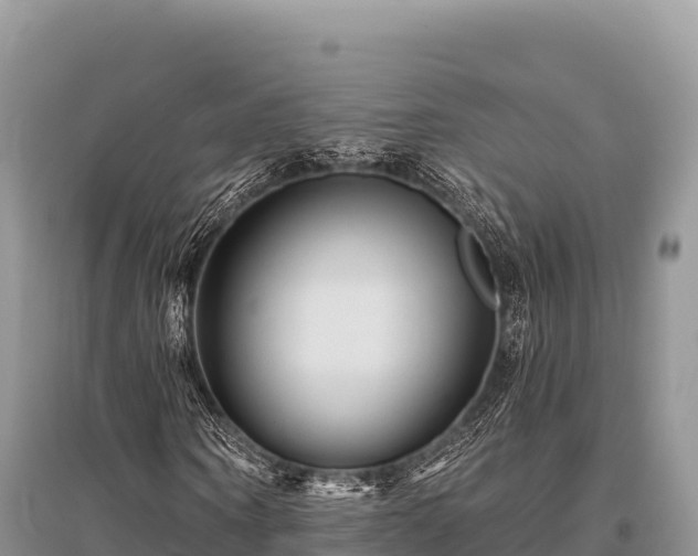 X0000096170866200801251148