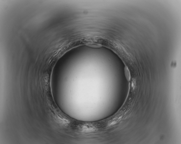 X0000096170867200801251148