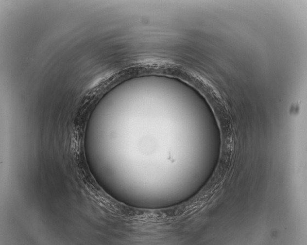 X0000096170869200801251148