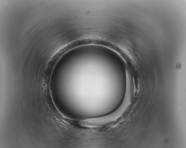 X0000096170872200801251148