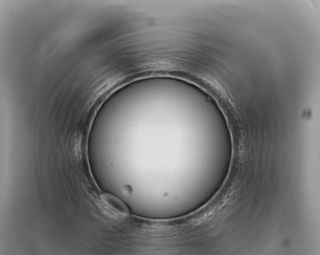 X0000096170873200801251148