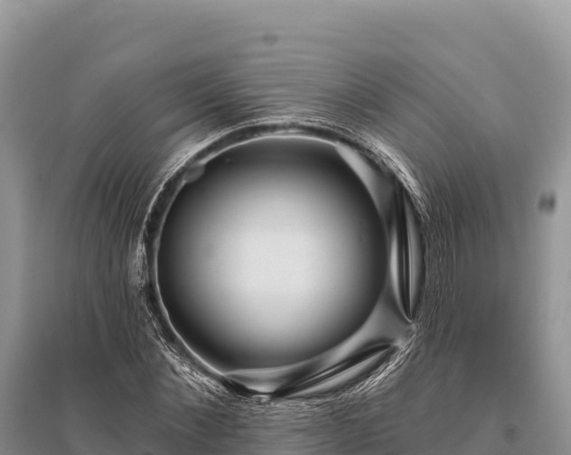 X0000096170876200801251148