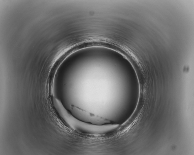 X0000096170877200801251148