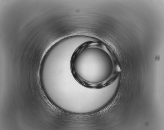 X0000096170880200801251148