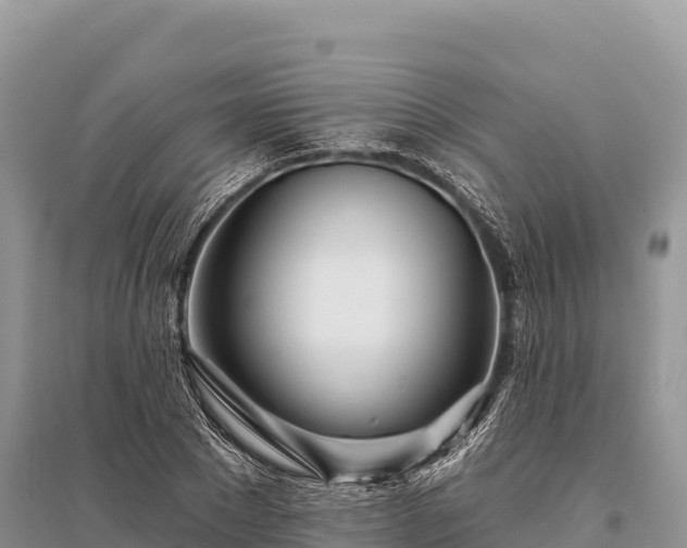 X0000096170881200801251148