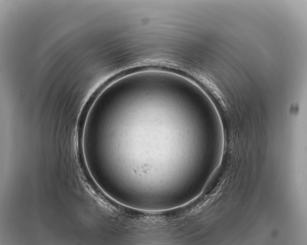 X0000096170888200801251148