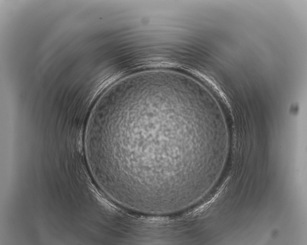 X0000096170889200801251148