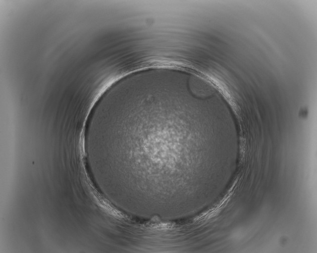 X0000096170891200801251148