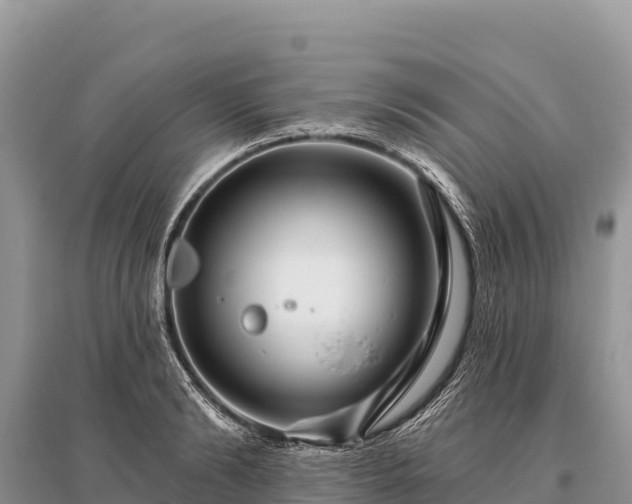 X0000096170894200801251148