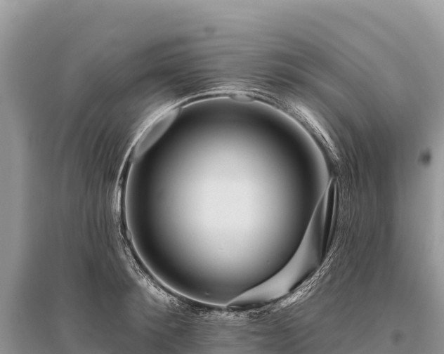 X0000096170900200801251148