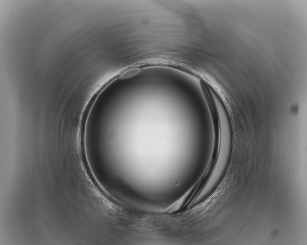 X0000096170902200801251148