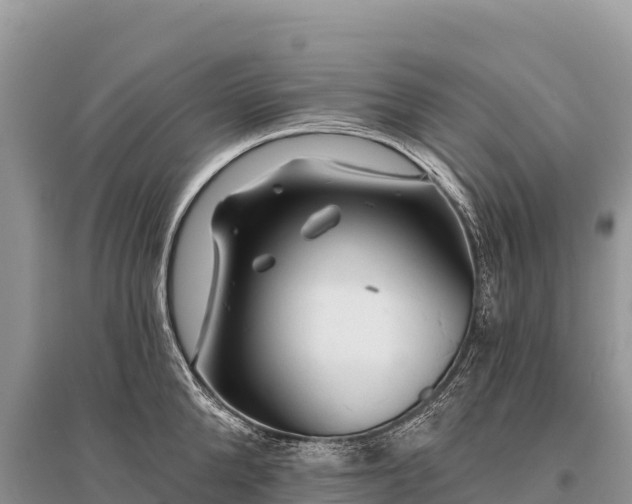 X0000096170904200801251148