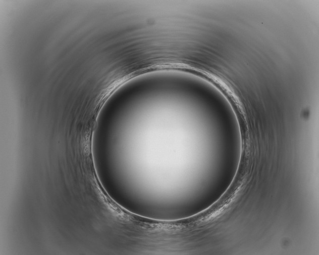 X0000096170905200801251148