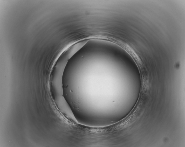 X0000096170908200801251148