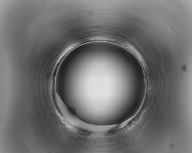 X0000096170909200801251148