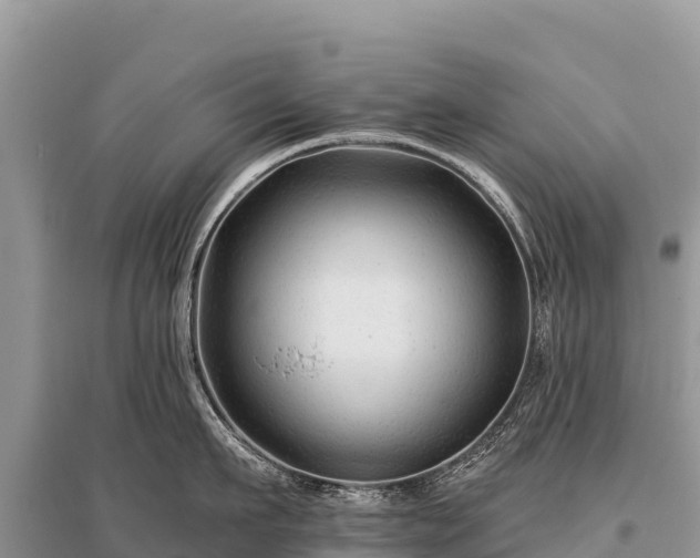 X0000096170911200801251148