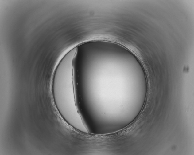 X0000096170912200801251148