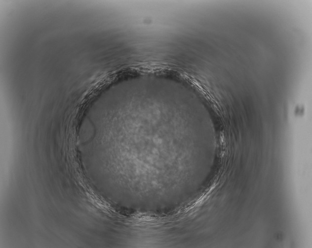 X0000096170913200801251147