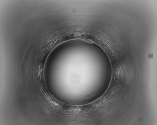 X0000096170914200801251147