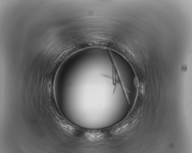 X0000096170915200801251147