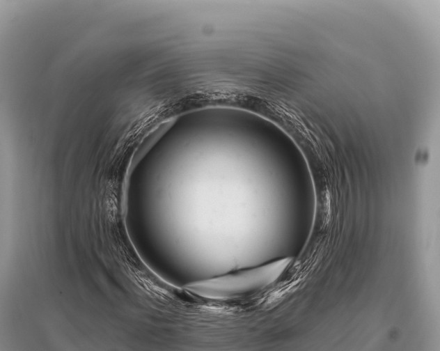 X0000096170916200801251147