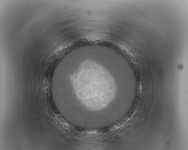 X0000096170917200801251147